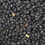 Black urad dal /black chilti