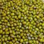 Green moong dal/ Green chilti